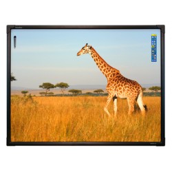 Интерактивная доска ActivBoard Touch 78 (672398)